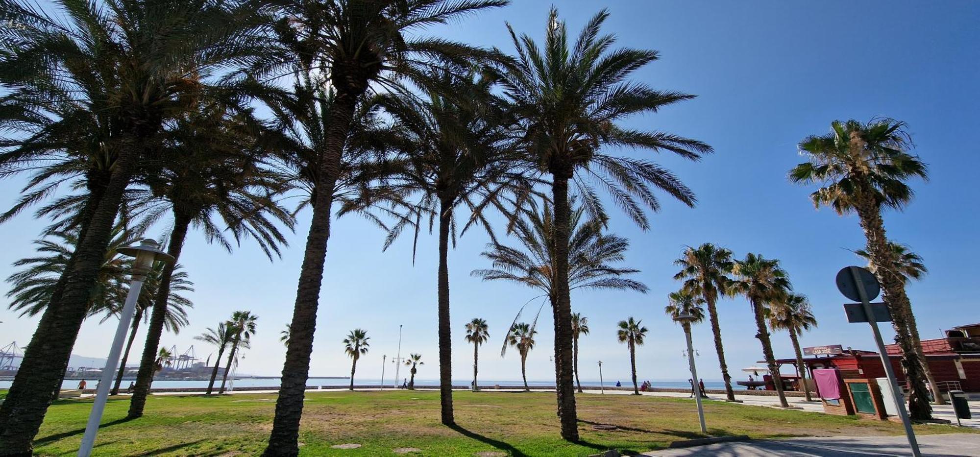 Paloma Beach Malaga Exterior photo